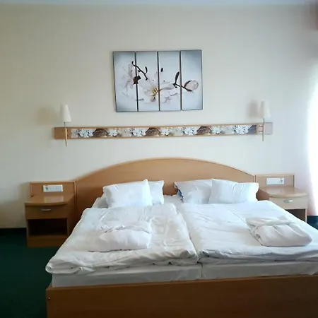 Hotel Zsory Zen & Mezőkövesd