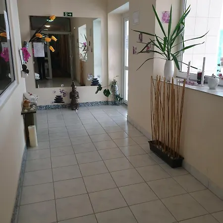 Hotel Zsory Zen & 4*